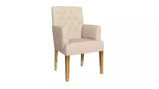 Modern Armchair