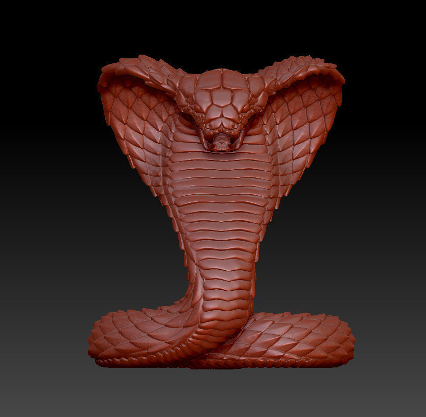 cobra snake 3D print model_4