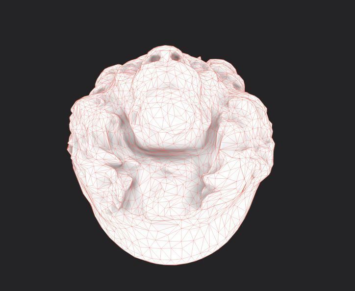 Lion Head Pendant 3d print model and gameready model Low-poly 3D model_14