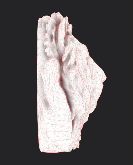 Lion Head Pendant 3d print model and gameready model Low-poly 3D model_12