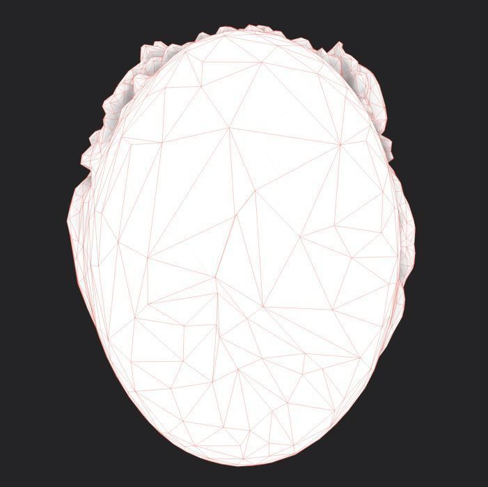 Lion Head Pendant 3d print model and gameready model Low-poly 3D model_11