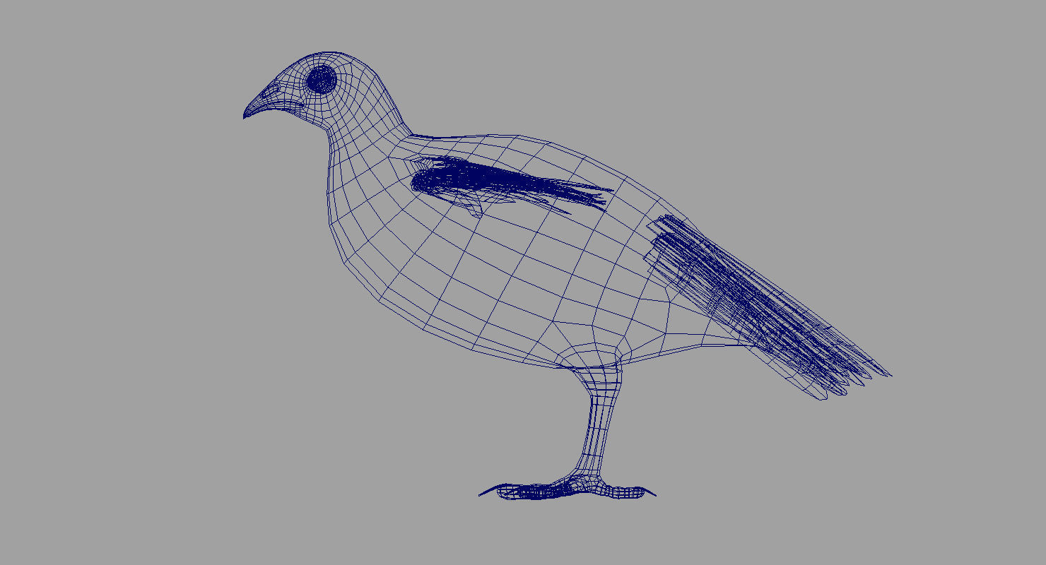 quail bird 3d model 3D model_8