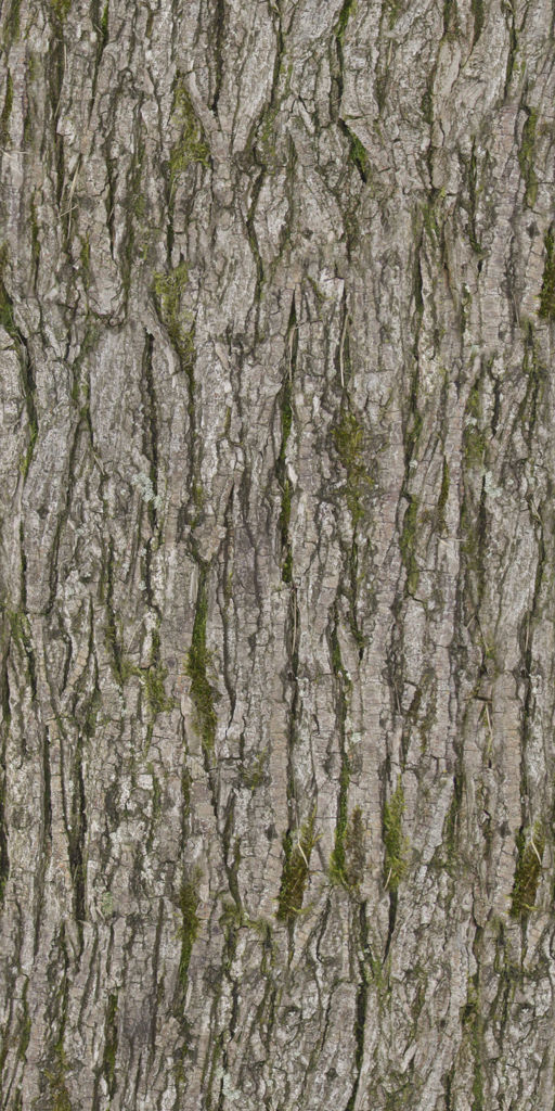 Bonsai tree 3D model_3