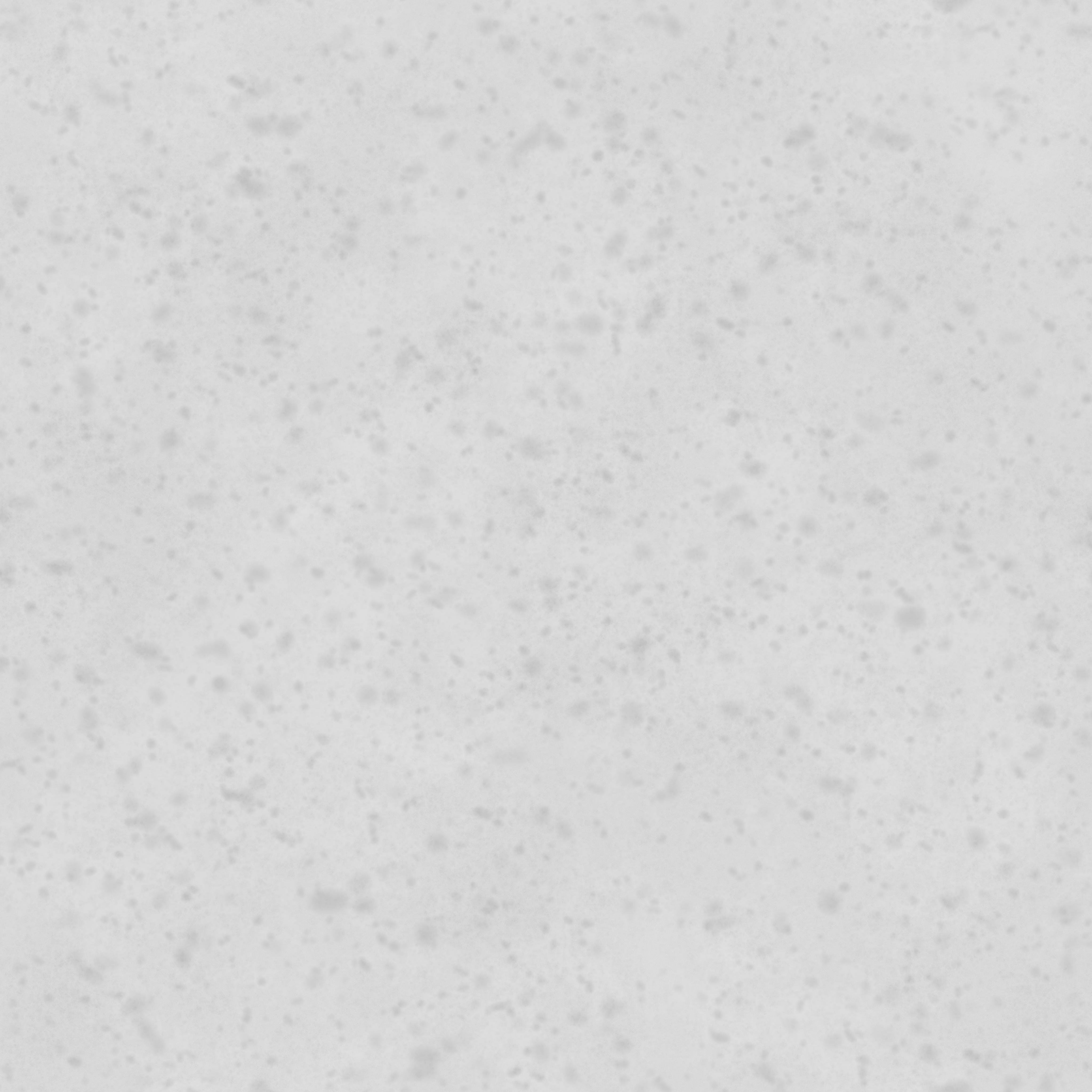 Bonsai tree 3D model_5