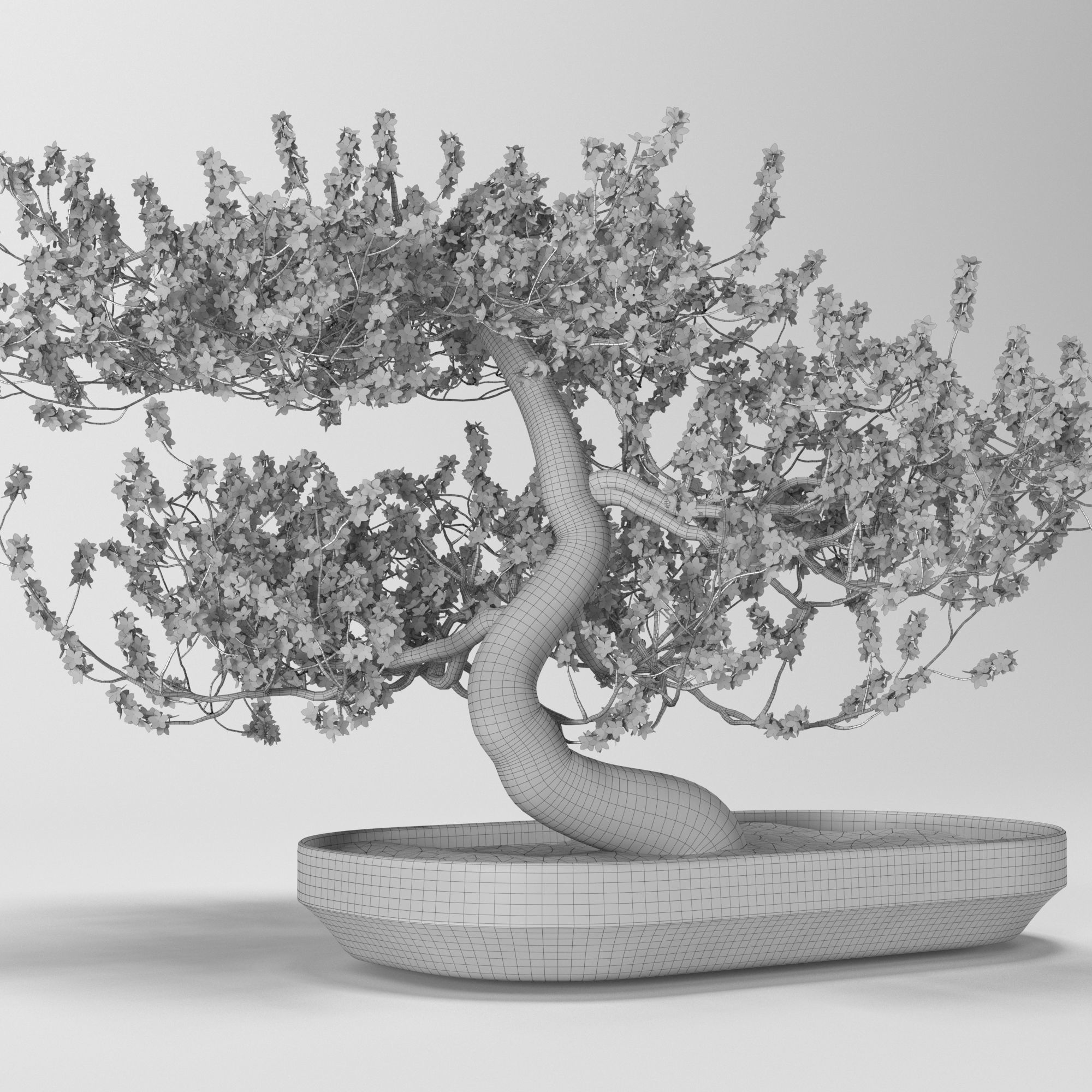 Bonsai tree 3D model_2