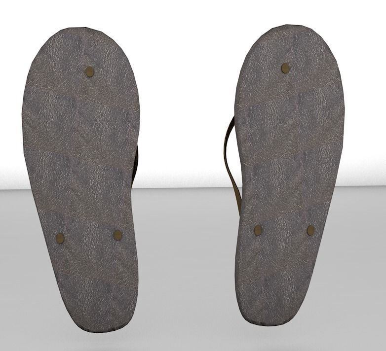 Flip Flops 3D Model 3D model_2