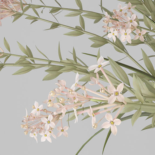 Realistic Detailed Lilac Cluster Flower Bouquet bush Pot Decor 3D model