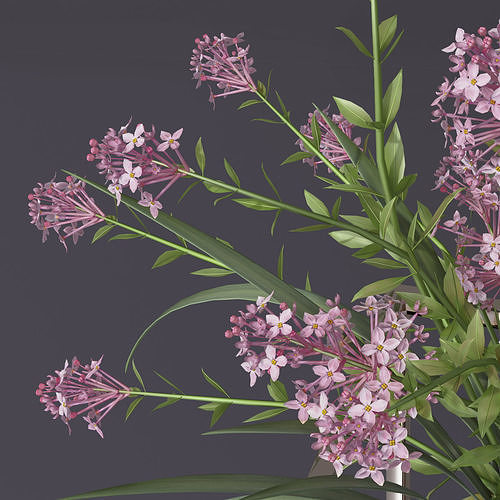 Realistic 4 colors lilac lily lavender Flower Bouquet and leaves 3D model
