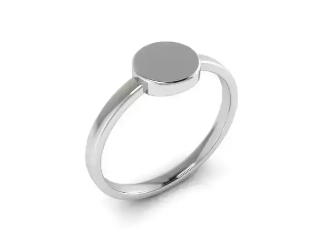 Ring 91 3D print model