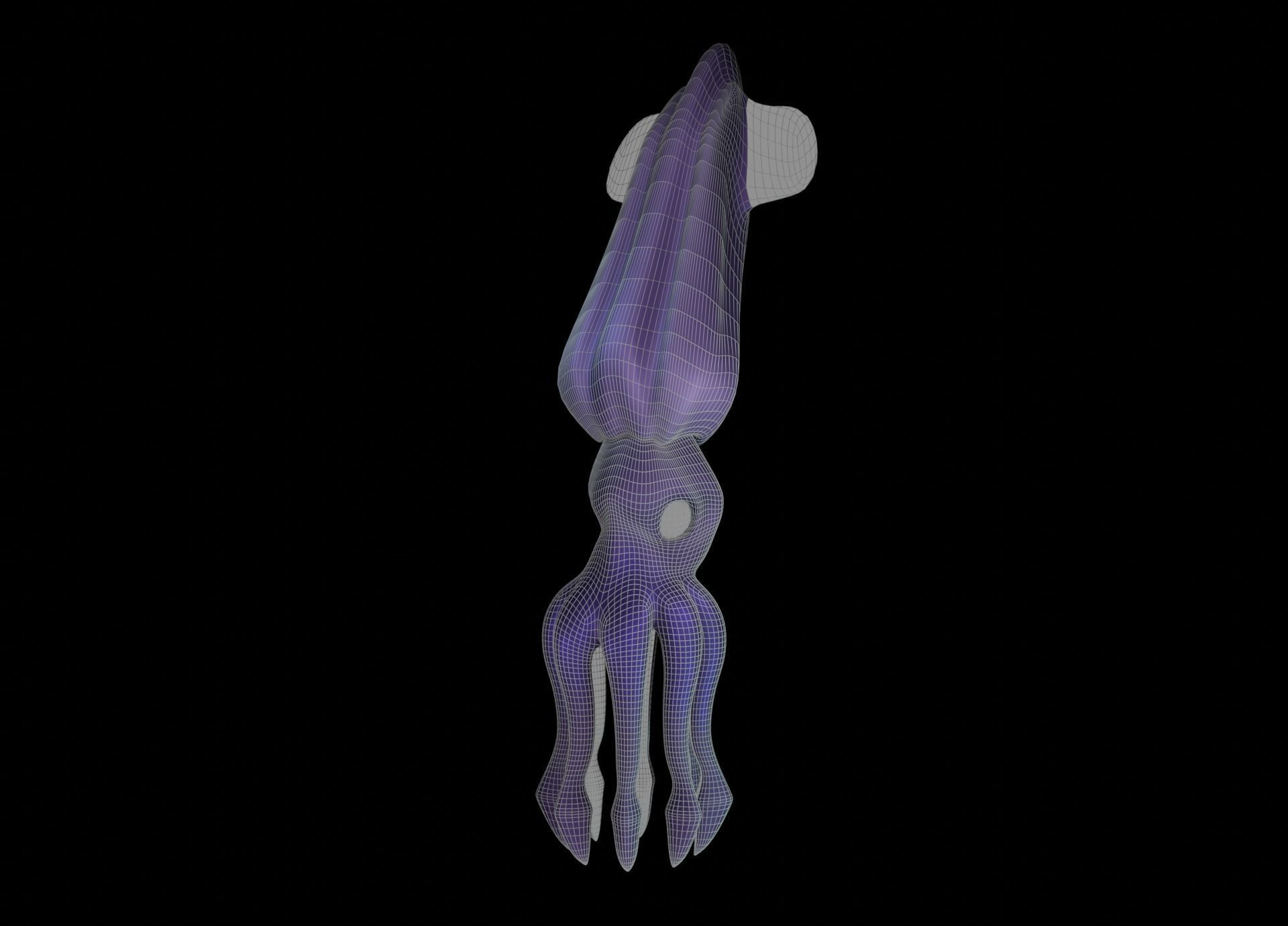 LowPoly Small Squid Low-poly 3D model_53