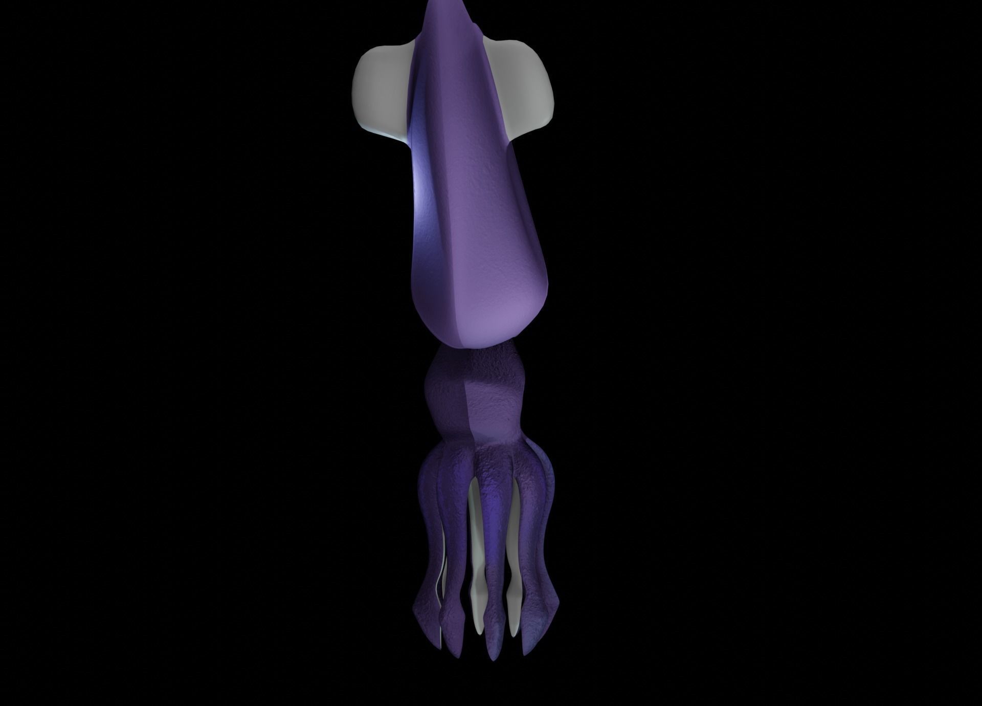 LowPoly Small Squid Low-poly 3D model_15