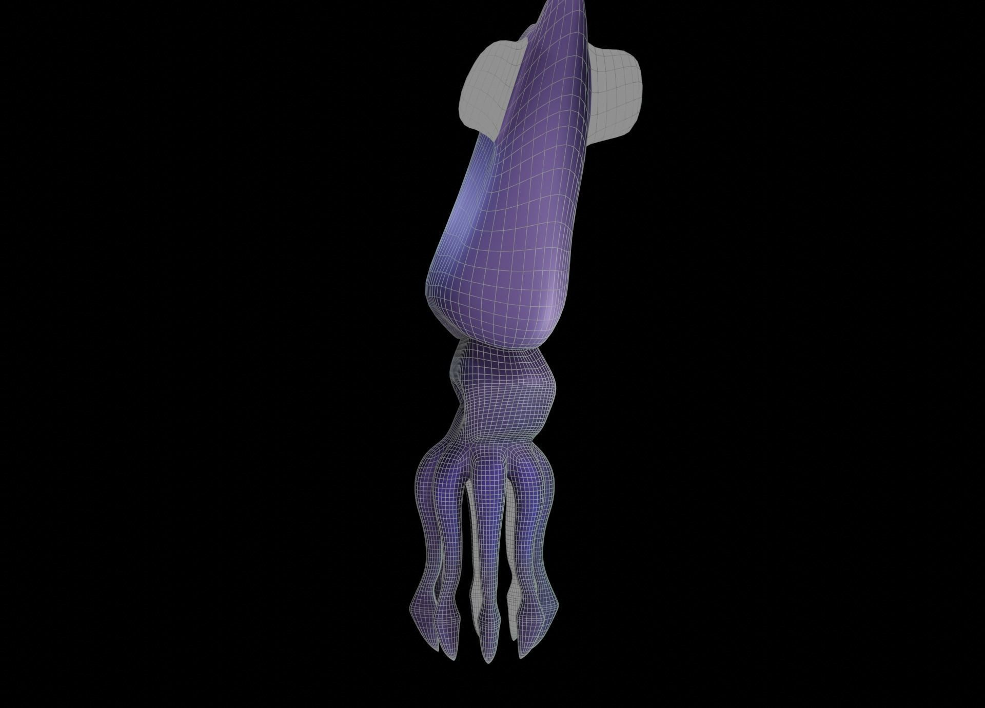 LowPoly Small Squid Low-poly 3D model_44