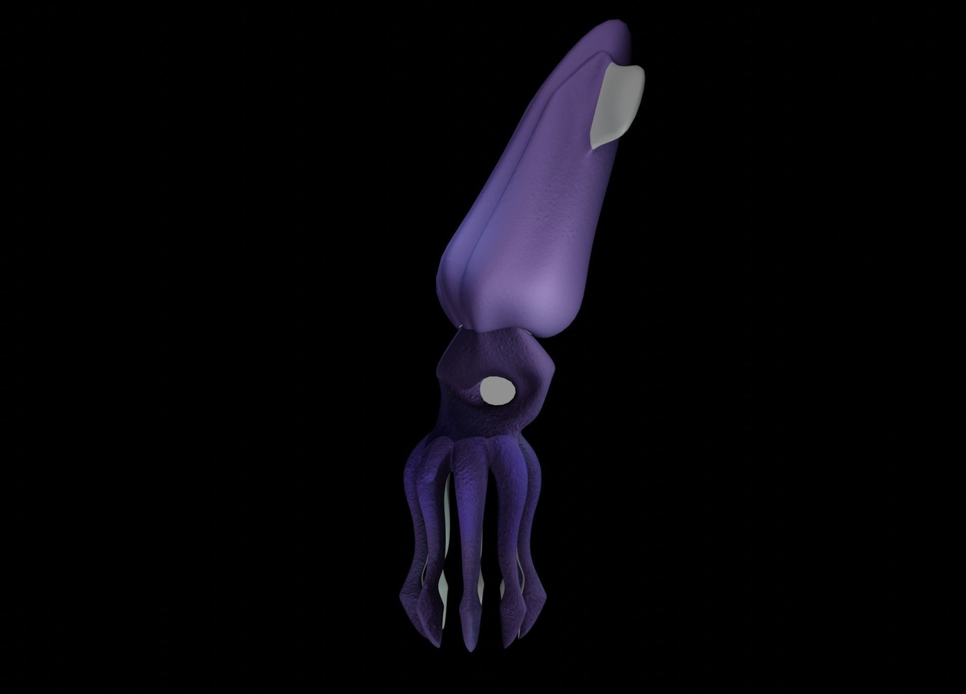 LowPoly Small Squid Low-poly 3D model_24