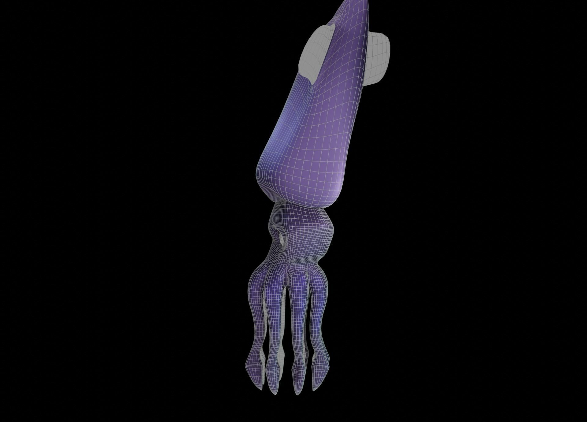 LowPoly Small Squid Low-poly 3D model_45