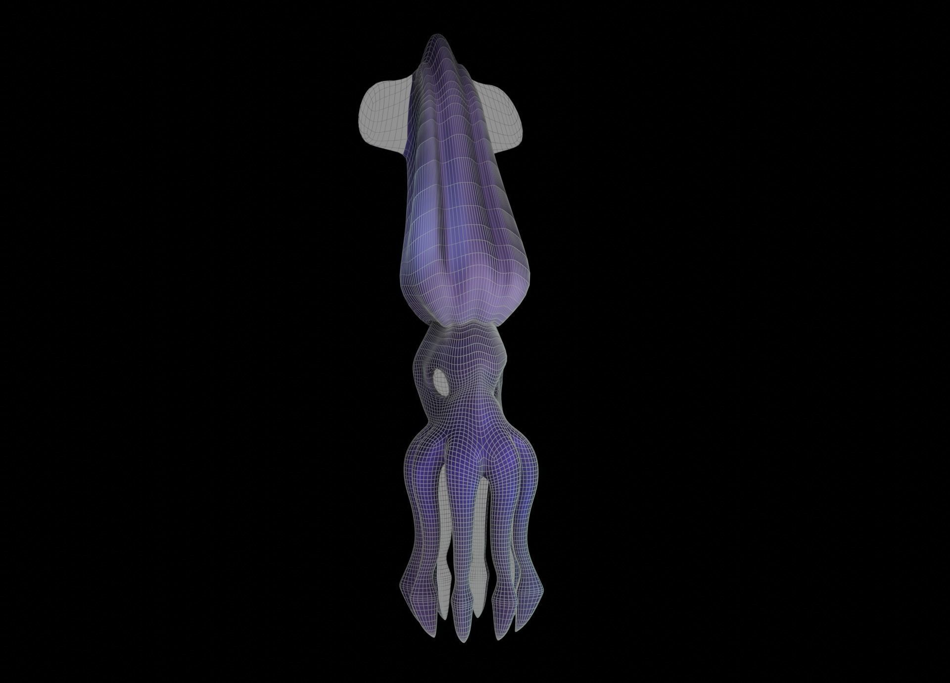 LowPoly Small Squid Low-poly 3D model_30