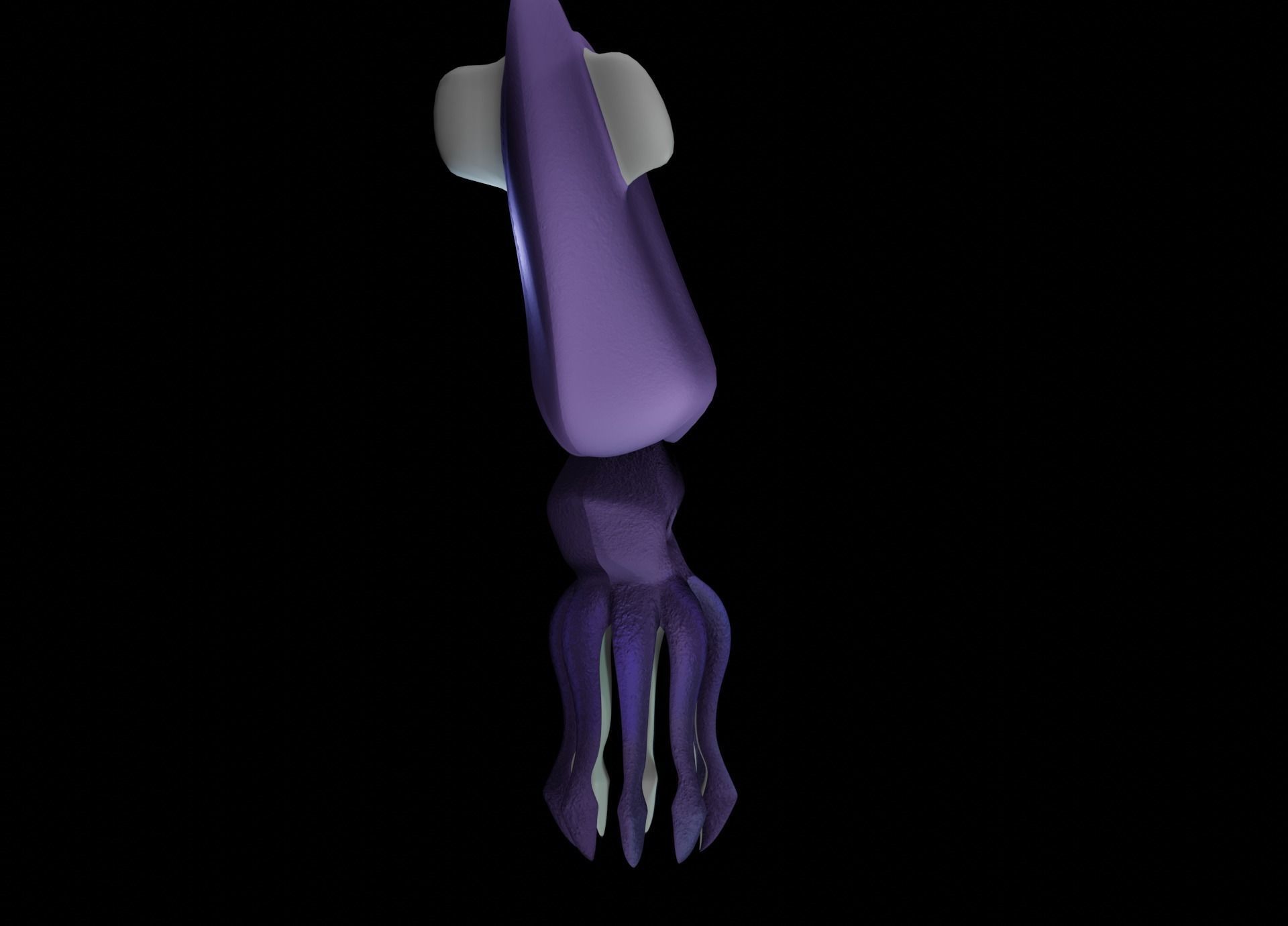 LowPoly Small Squid Low-poly 3D model_14