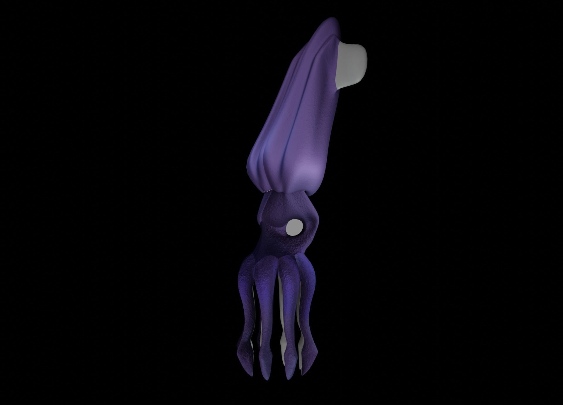 LowPoly Small Squid Low-poly 3D model_26
