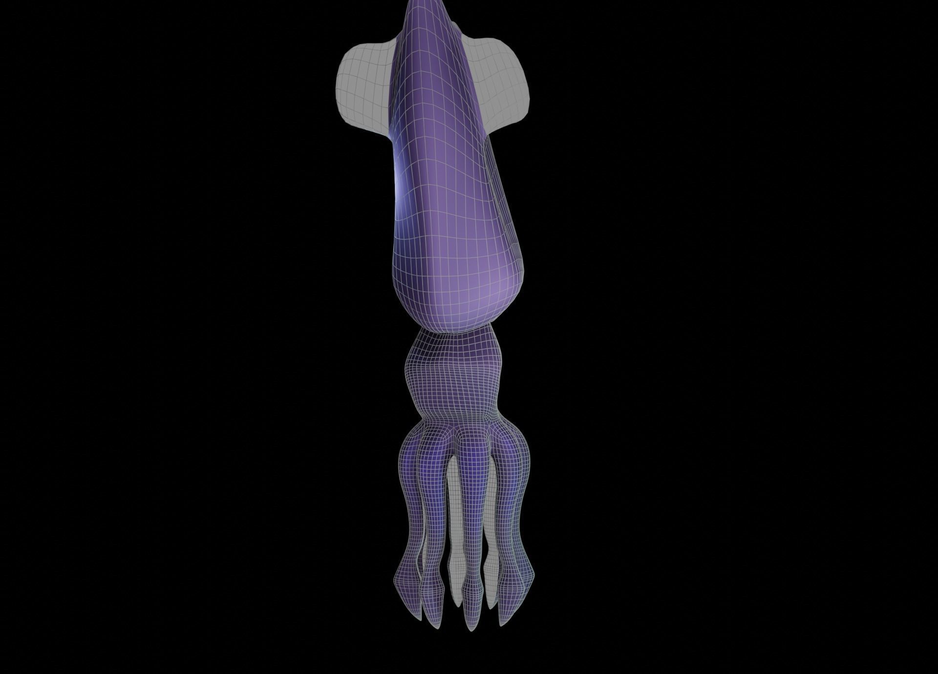 LowPoly Small Squid Low-poly 3D model_41