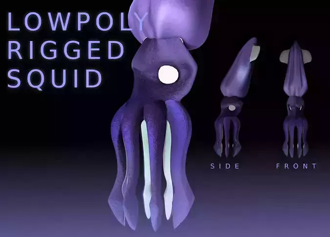 LowPoly Small Squid Low-poly 3D model LowPoly Small Squid Low-poly 3D model
