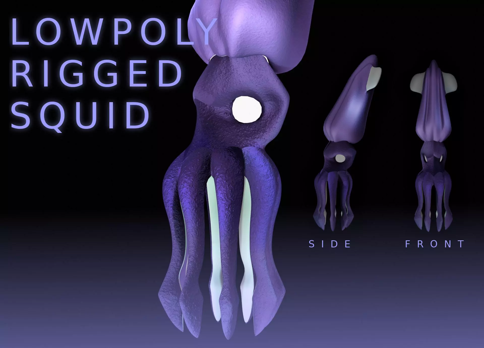 LowPoly Small Squid Low-poly 3D model_0
