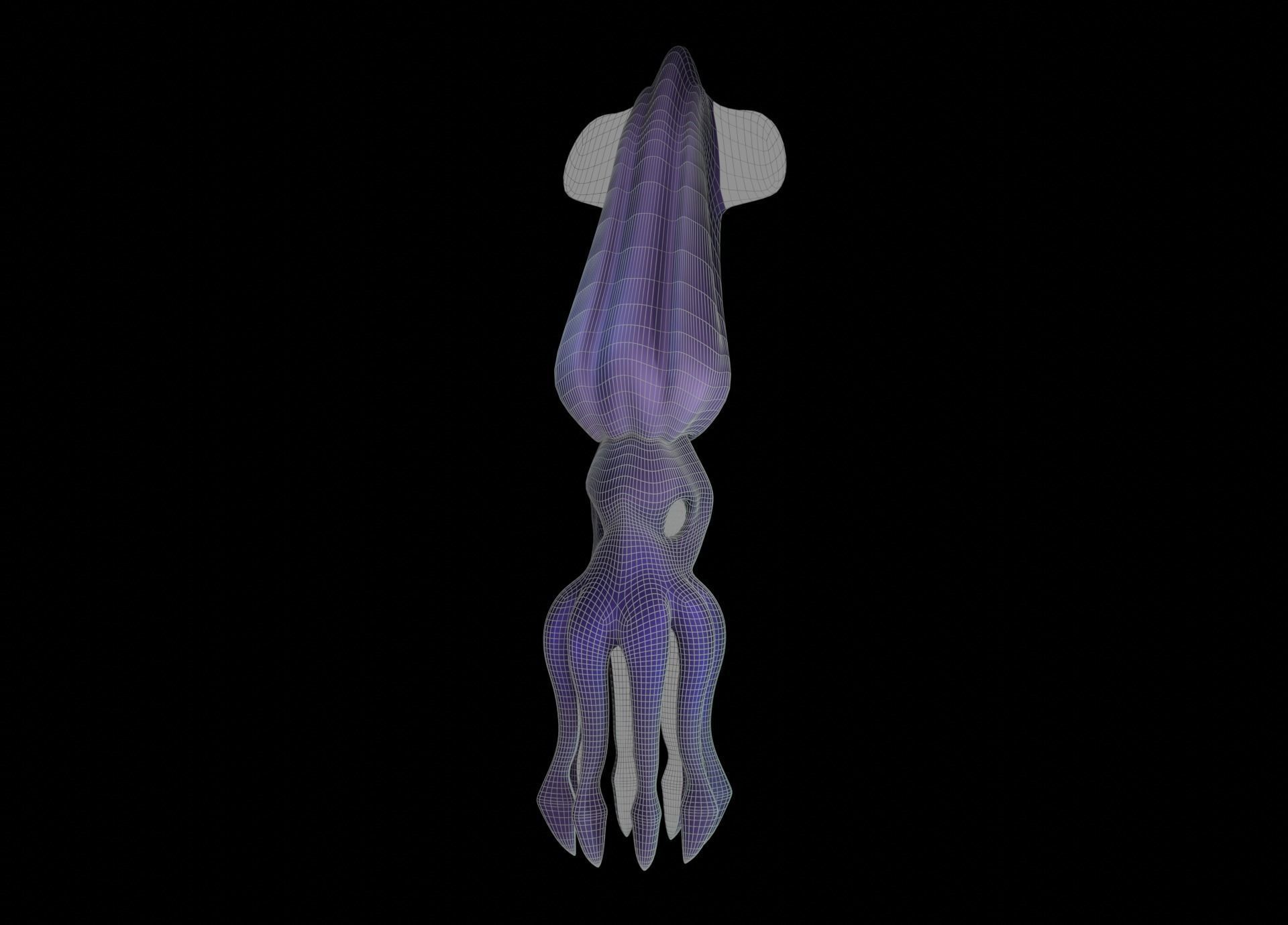 LowPoly Small Squid Low-poly 3D model_54