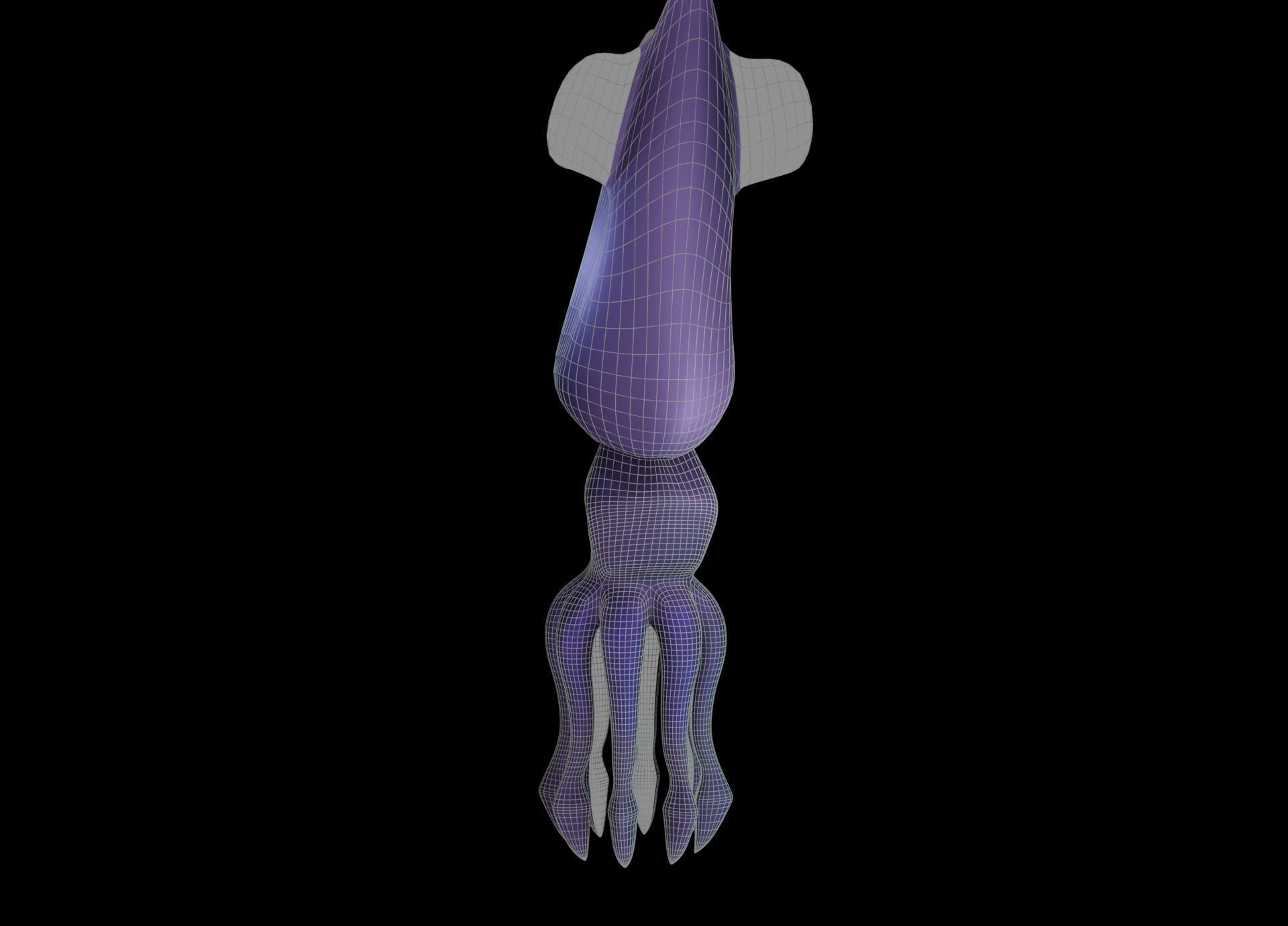 LowPoly Small Squid Low-poly 3D model_43
