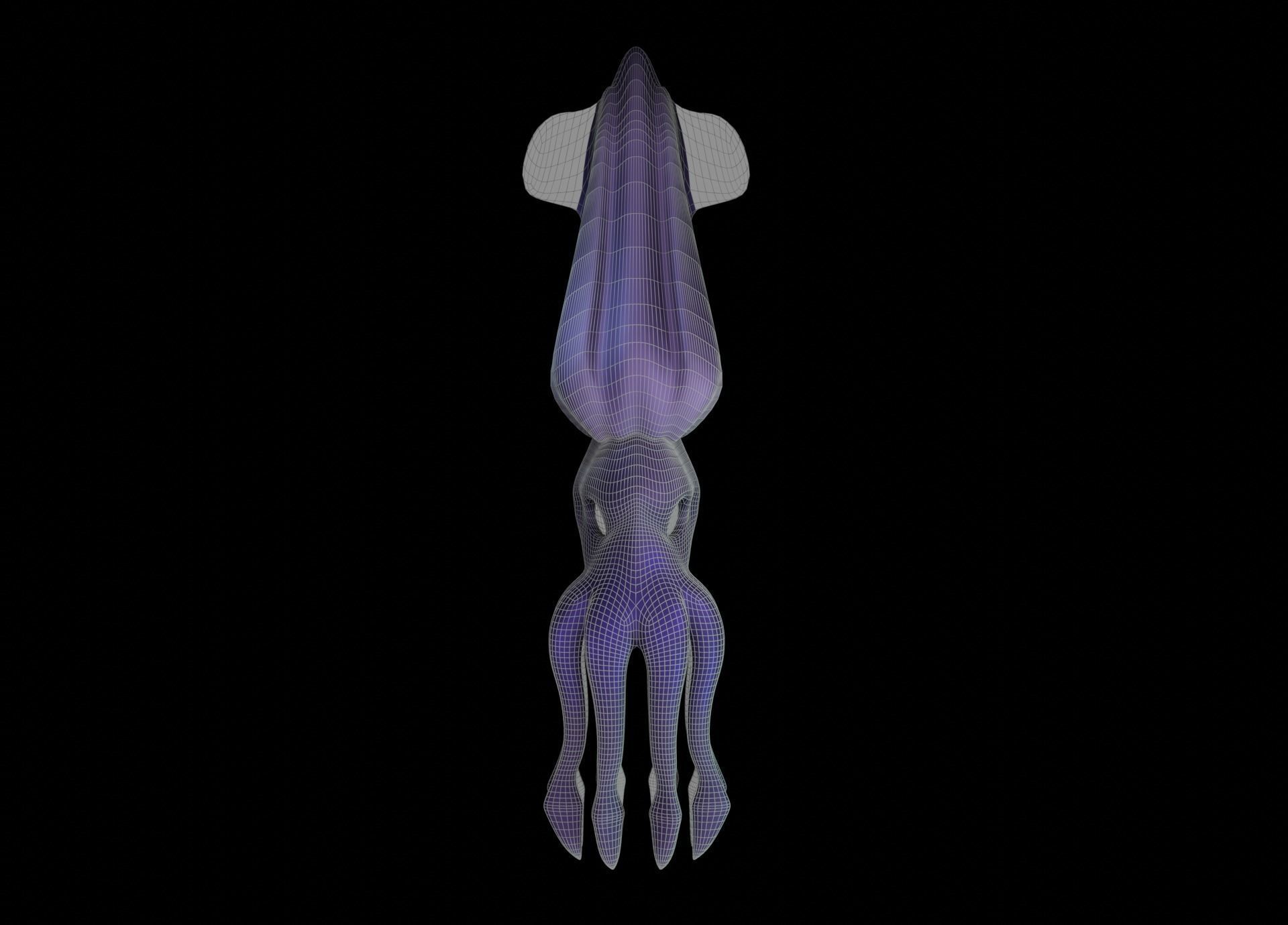 LowPoly Small Squid Low-poly 3D model_29