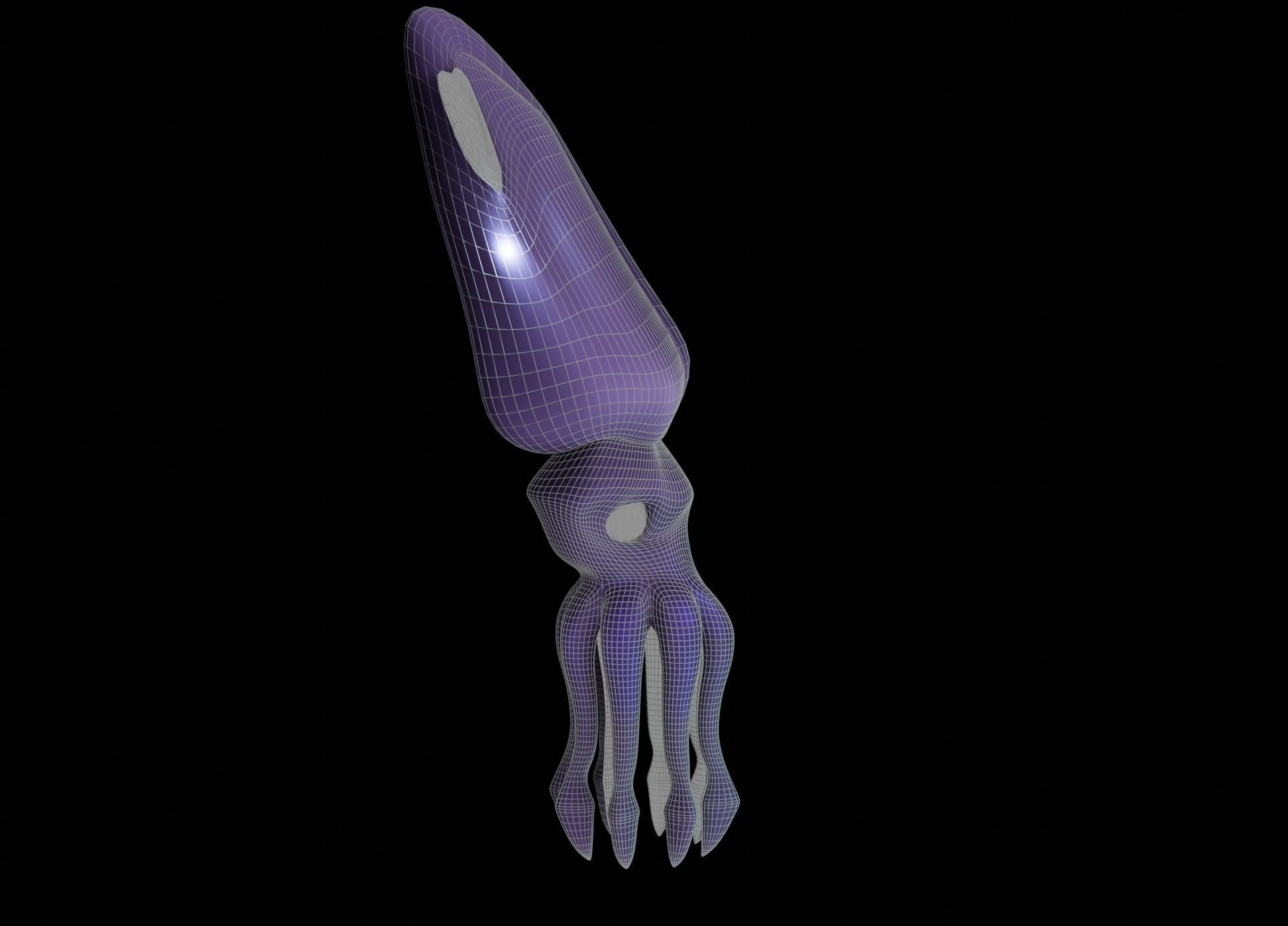 LowPoly Small Squid Low-poly 3D model_36