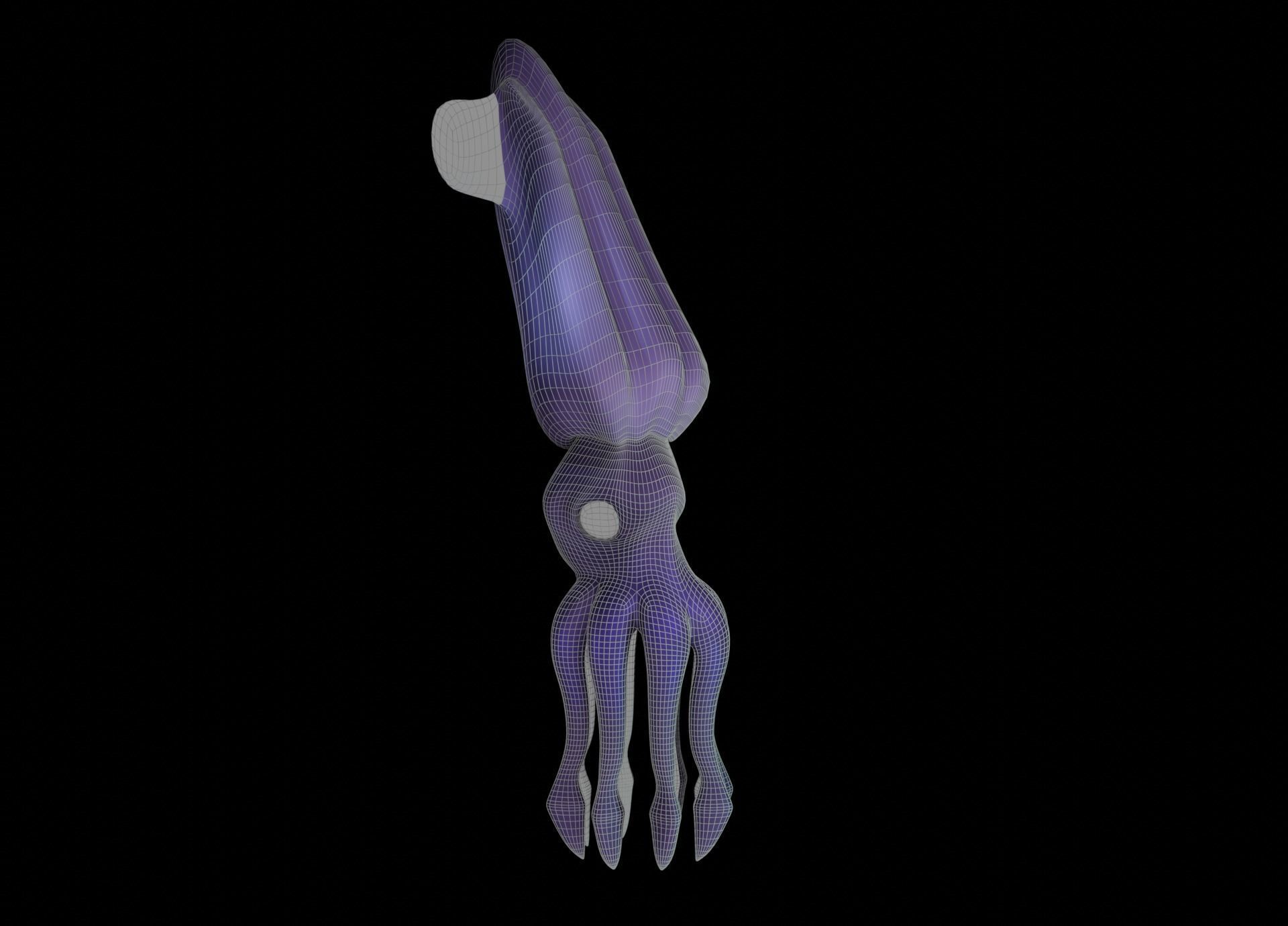 LowPoly Small Squid Low-poly 3D model_32