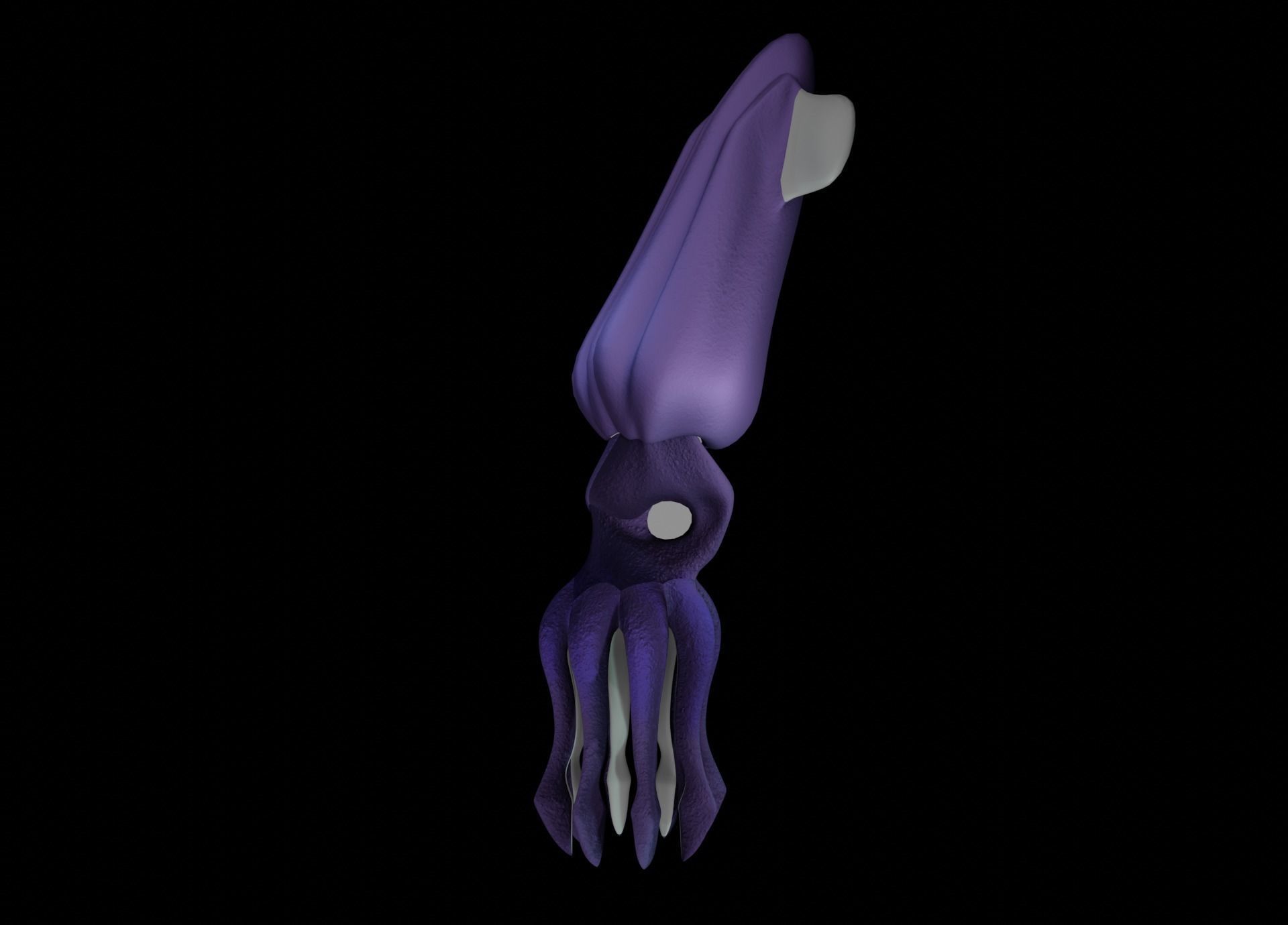 LowPoly Small Squid Low-poly 3D model_25