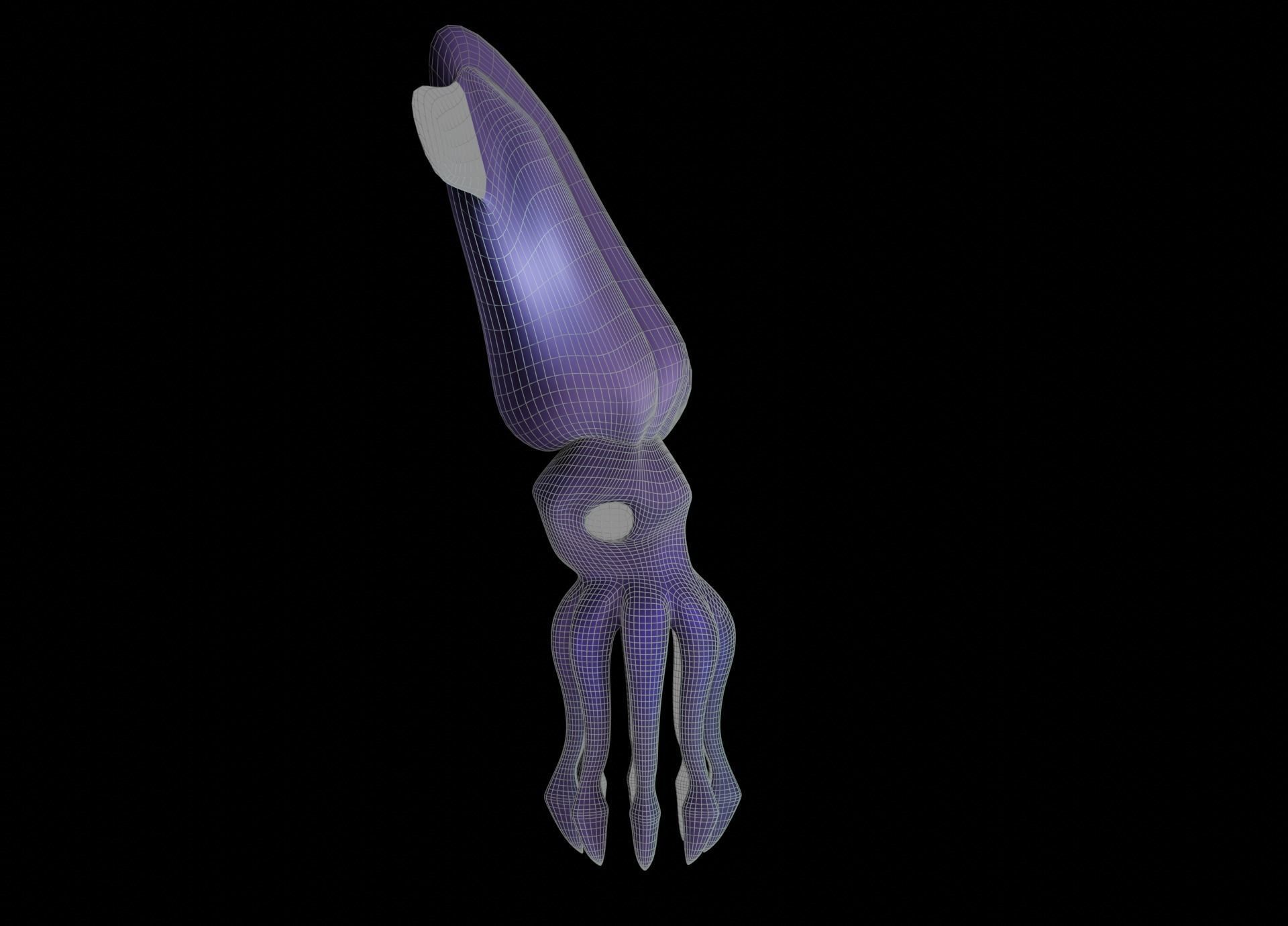 LowPoly Small Squid Low-poly 3D model_34