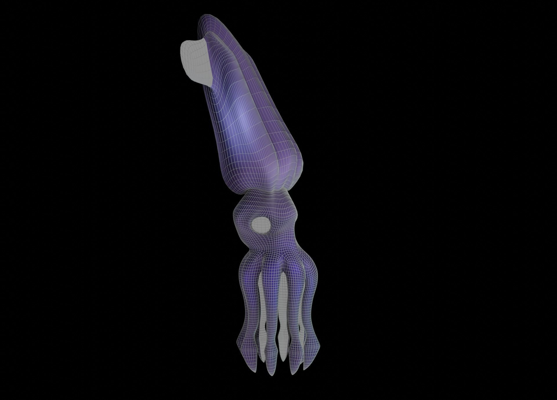 LowPoly Small Squid Low-poly 3D model_33