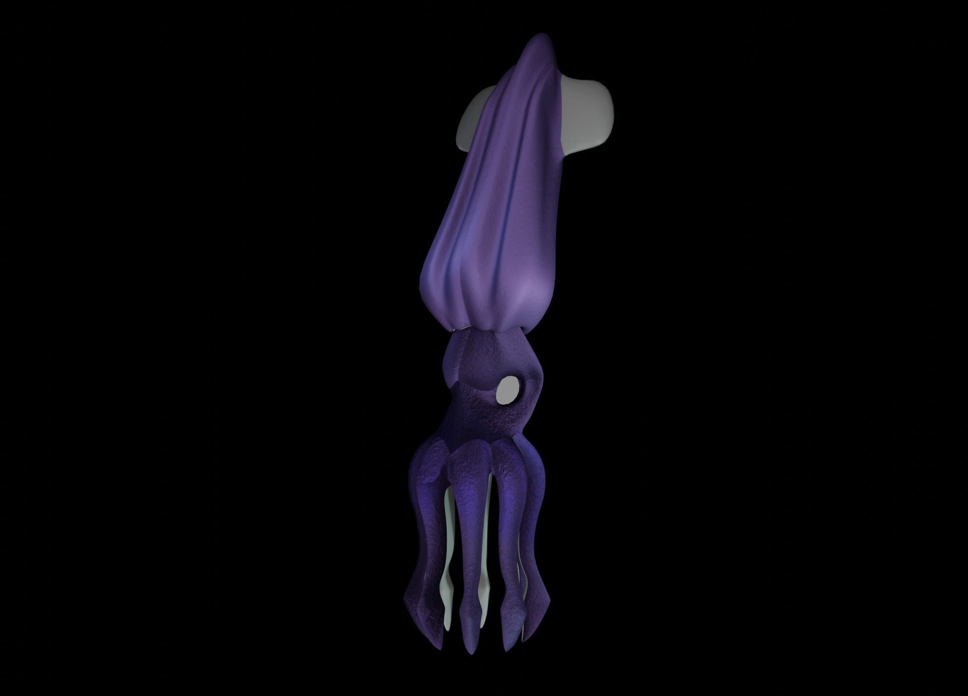 LowPoly Small Squid Low-poly 3D model_27