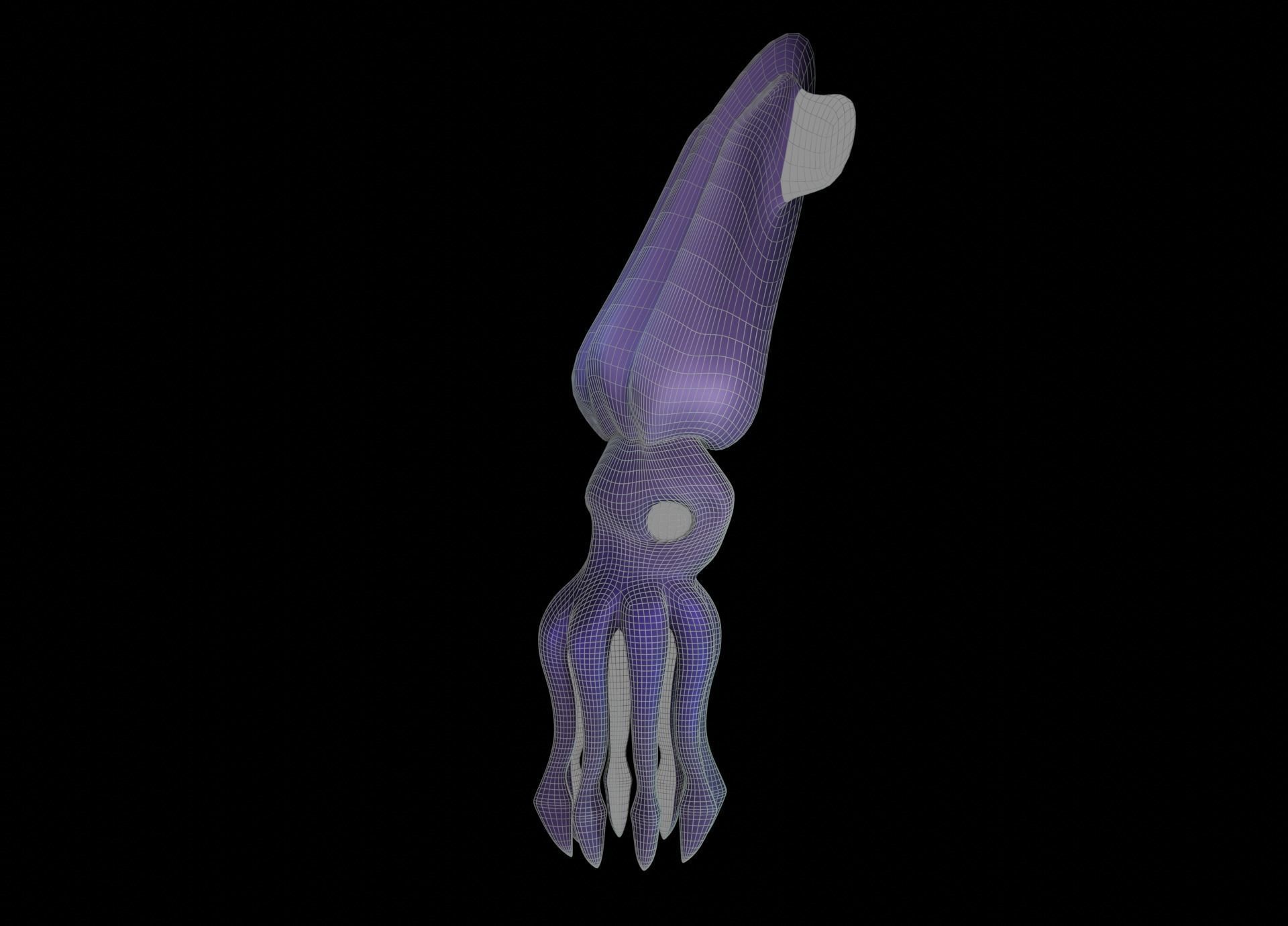 LowPoly Small Squid Low-poly 3D model_51