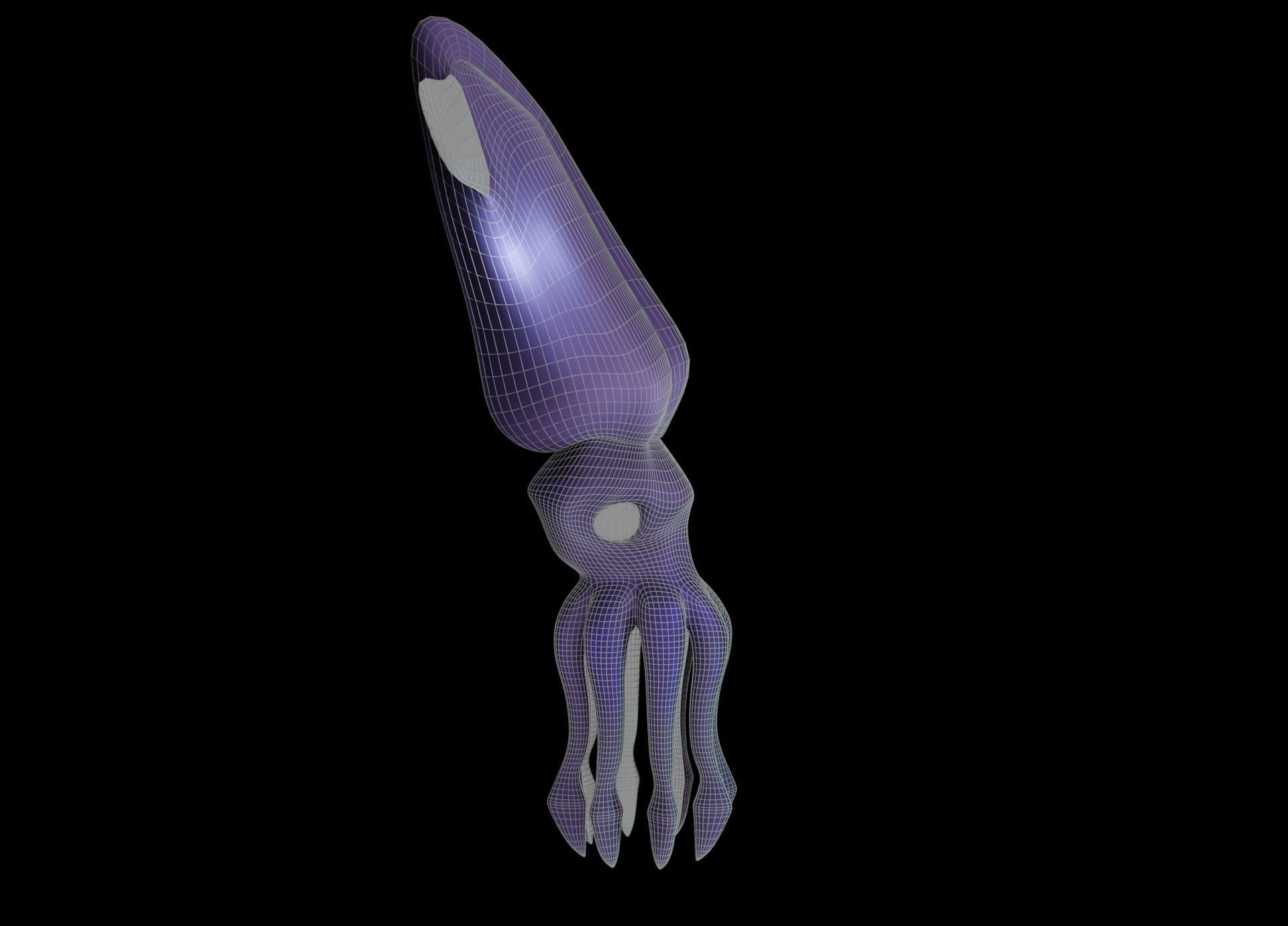 LowPoly Small Squid Low-poly 3D model_35