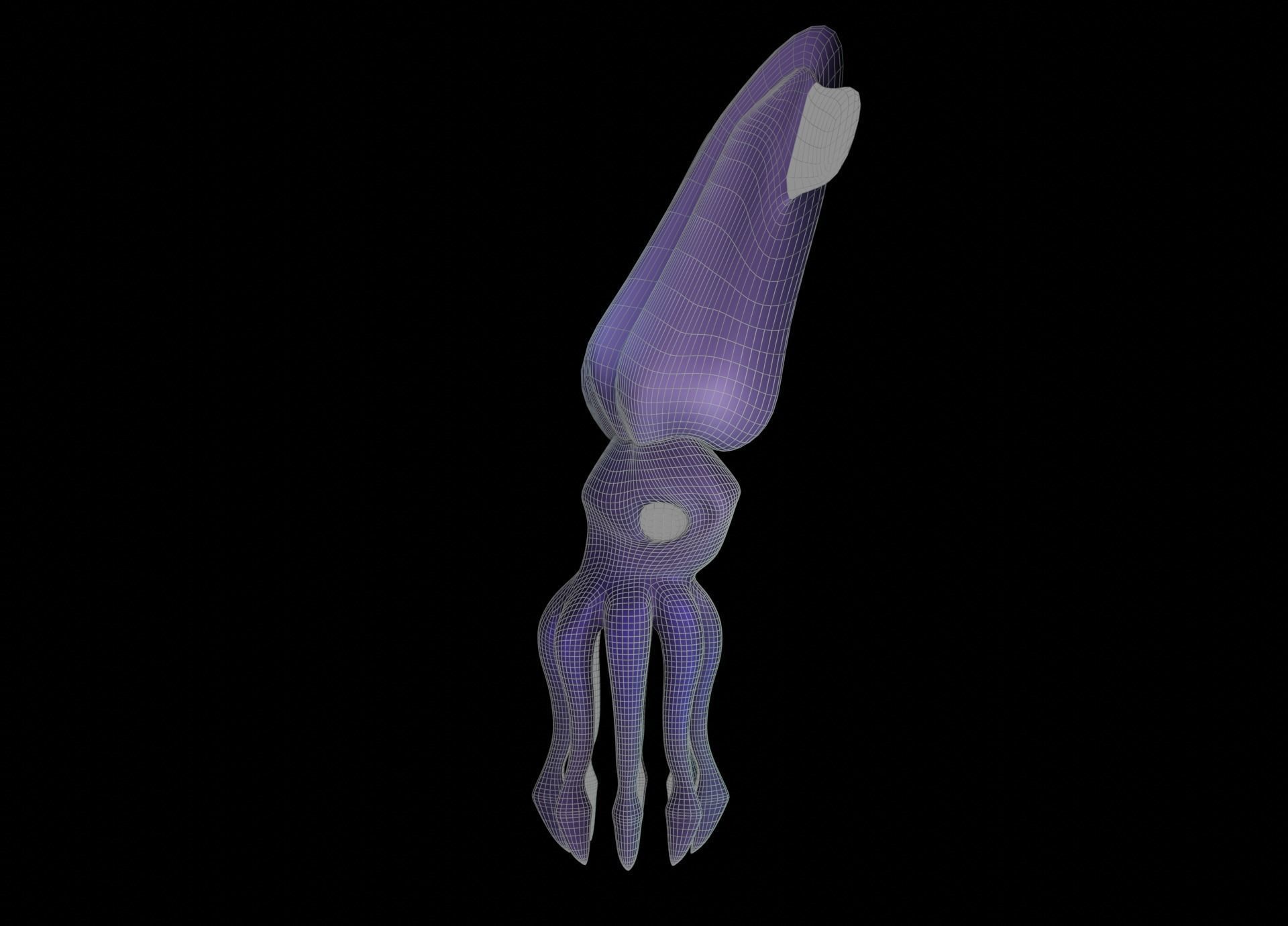 LowPoly Small Squid Low-poly 3D model_50