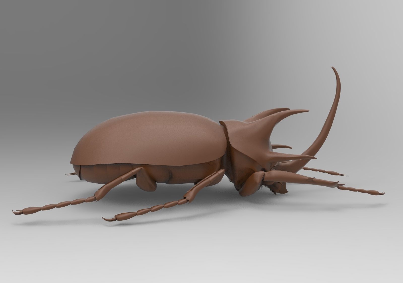 Lucanus beetle 3D print model_6