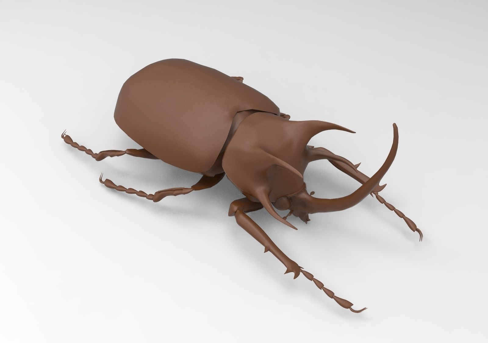 Lucanus beetle 3D print model_10