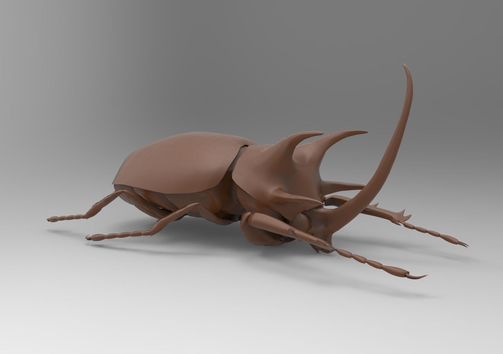 Lucanus beetle 3D print model_5