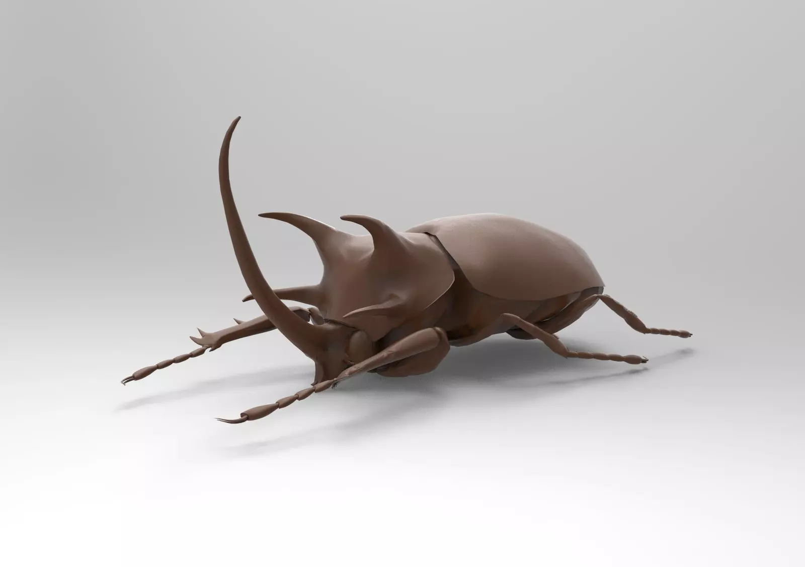 Lucanus beetle 3D print model_1