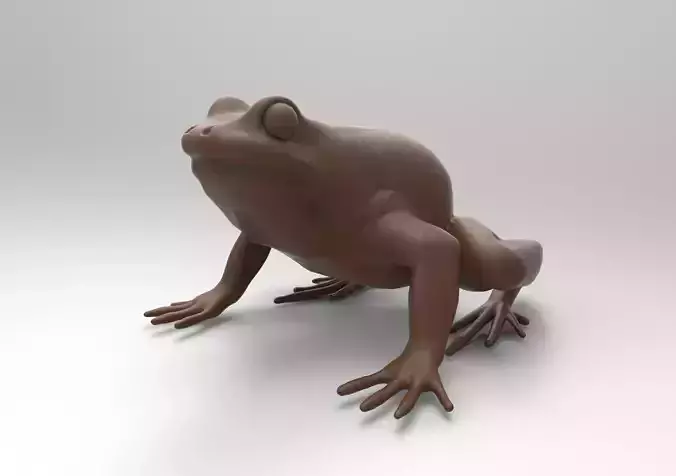 Frogs frog 3D print model