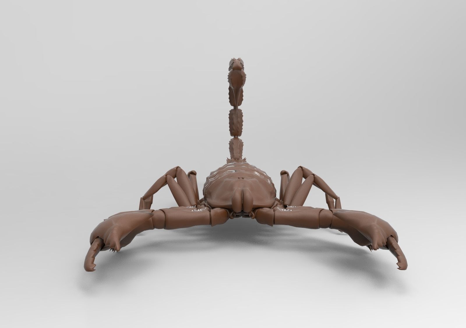 Scorpion 3D print model_2