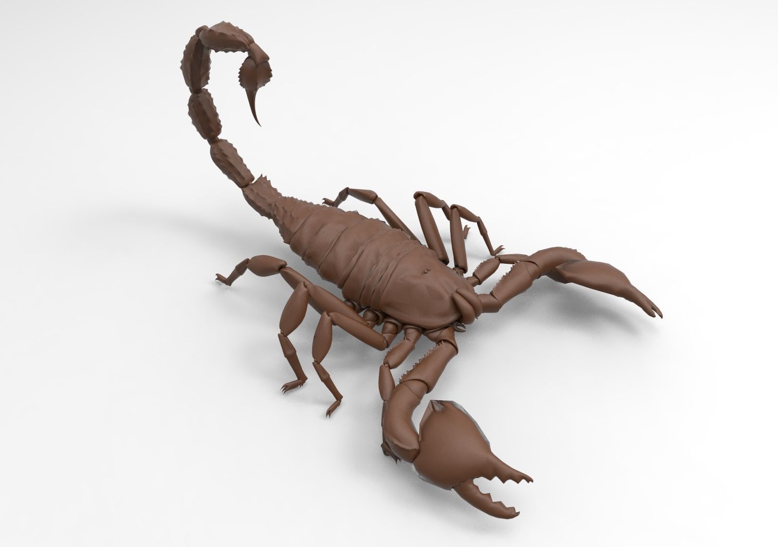 Scorpion 3D print model_8