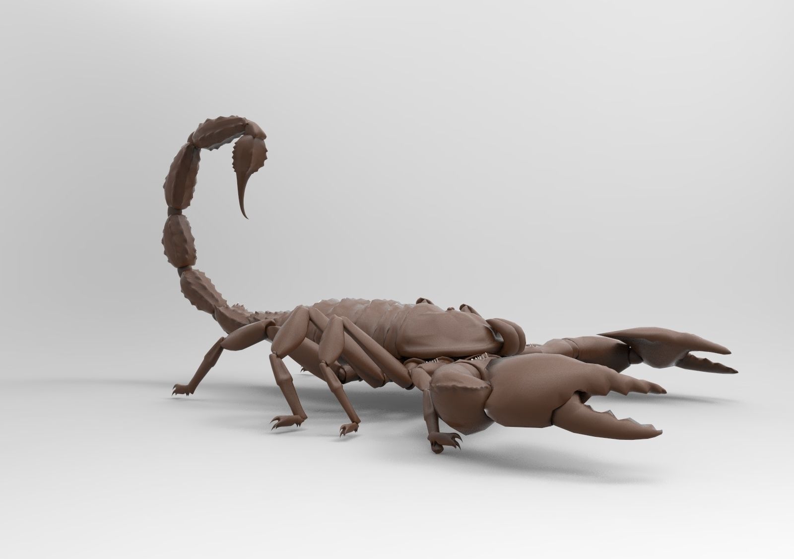 Scorpion 3D print model_3