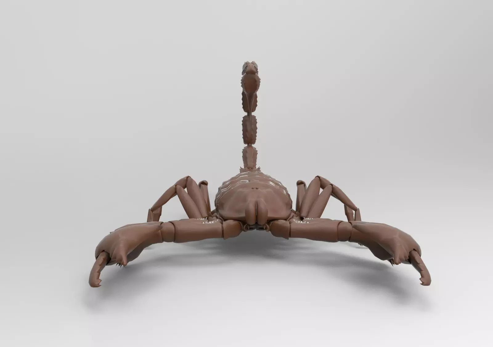 Scorpion 3D print model_0