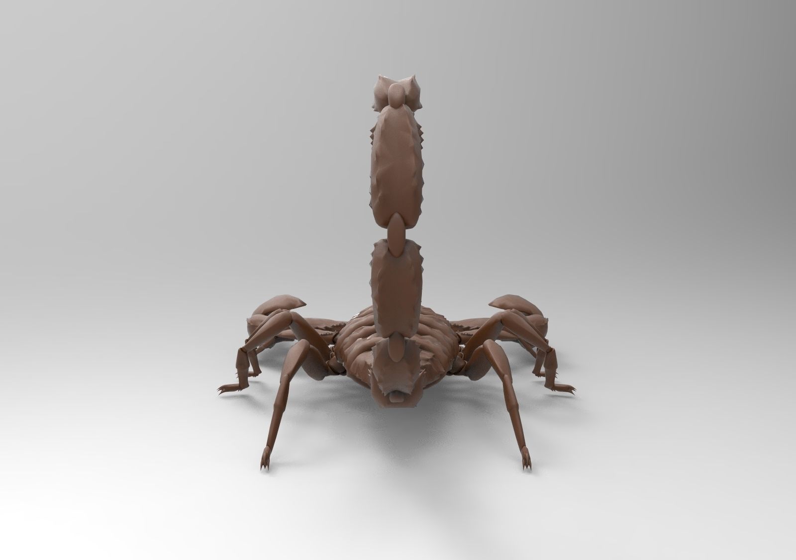 Scorpion 3D print model_6