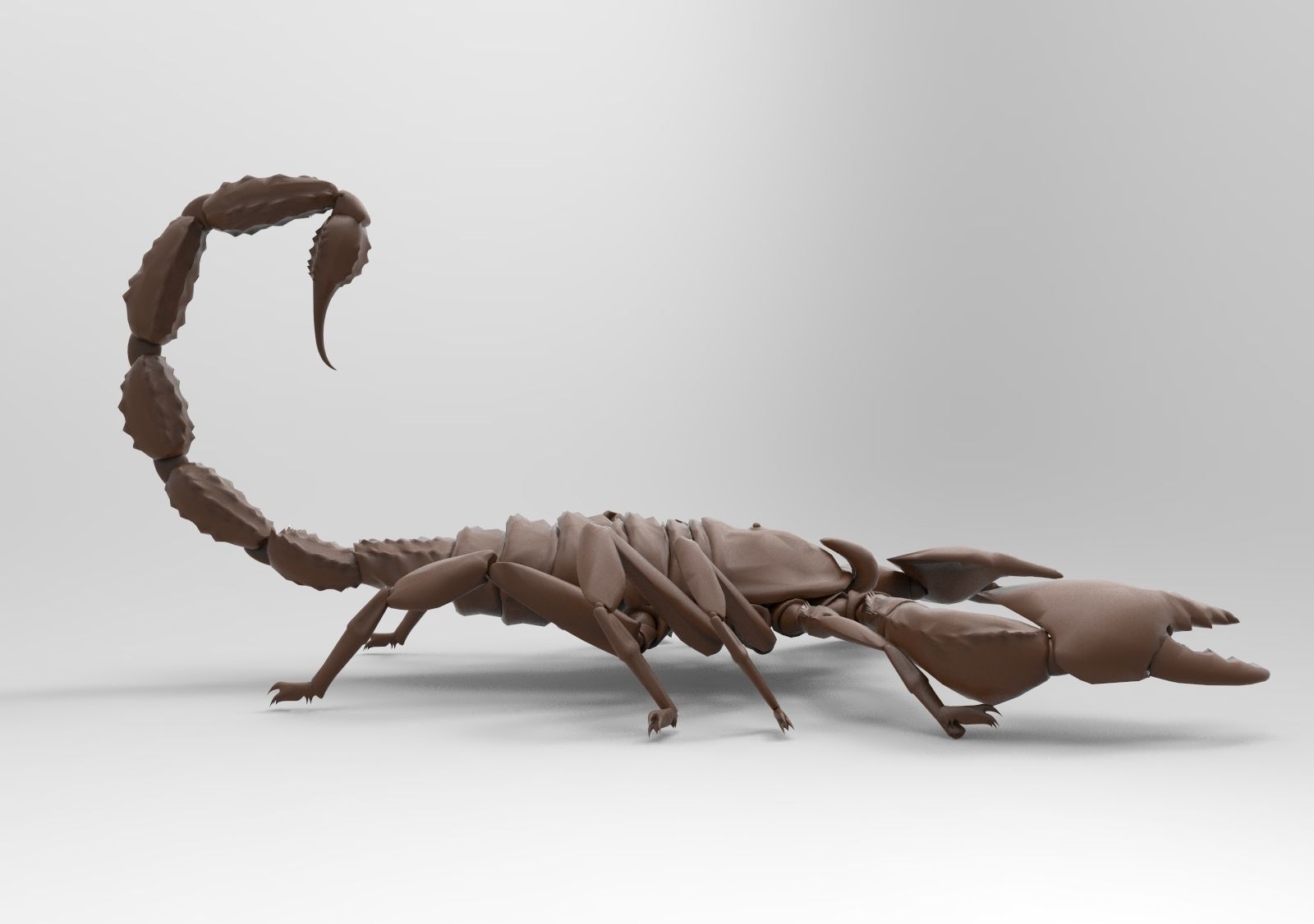 Scorpion 3D print model_4