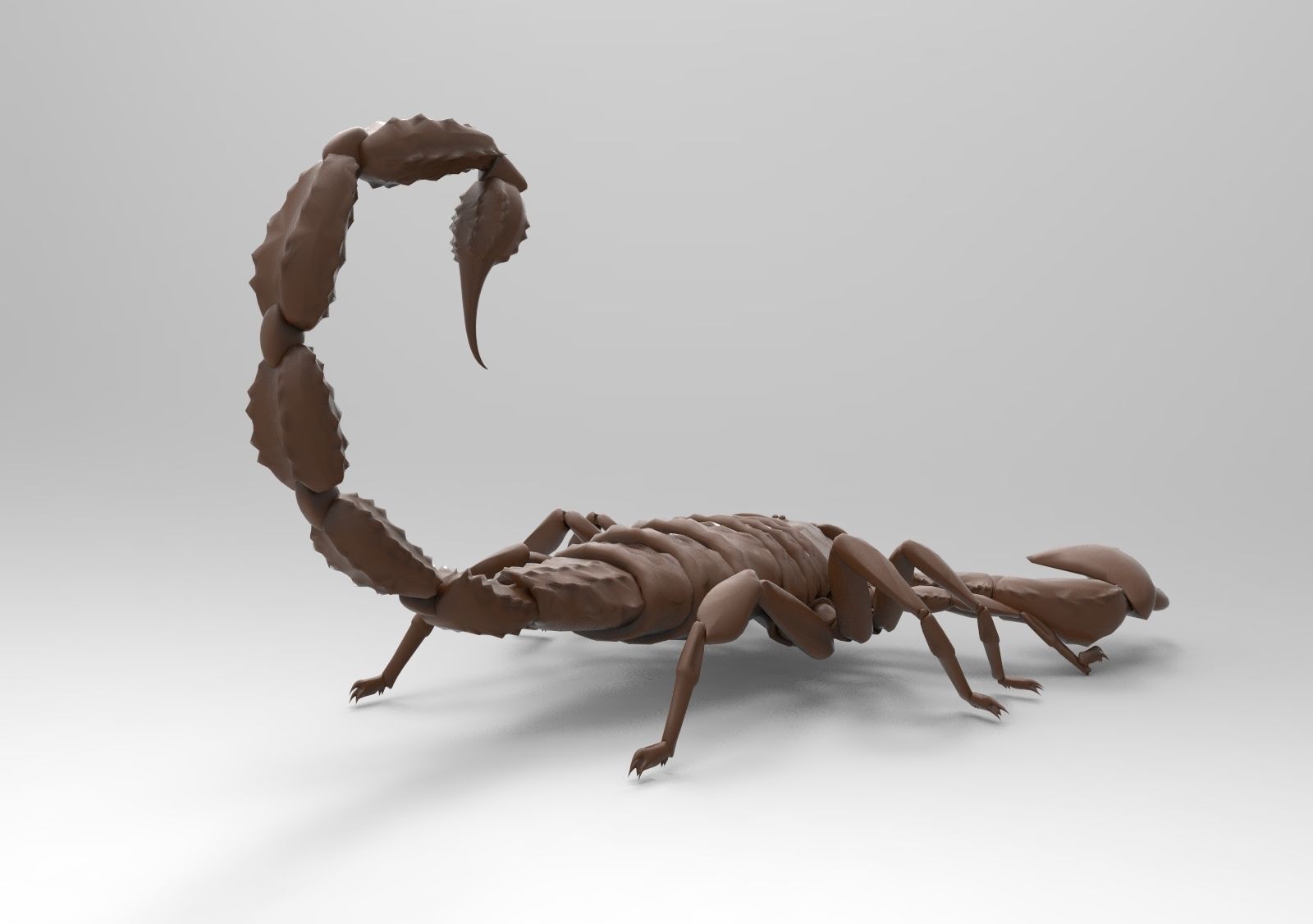 Scorpion 3D print model_5