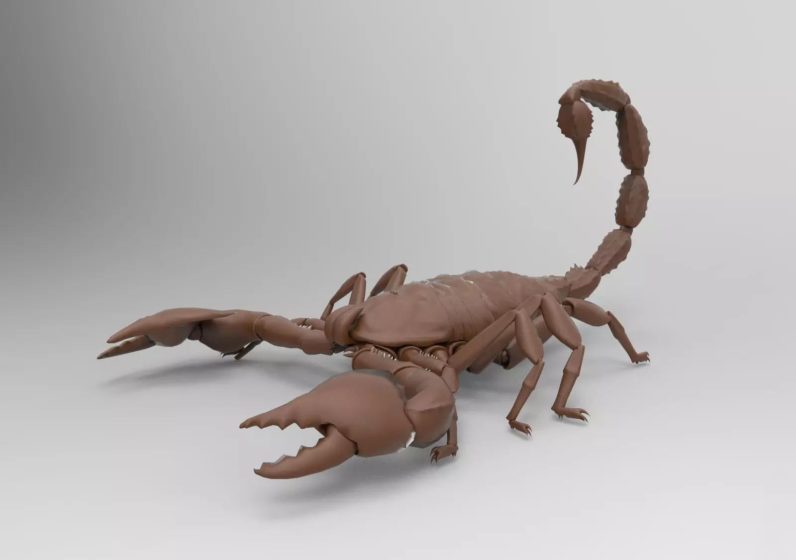 Scorpion 3D print model_1