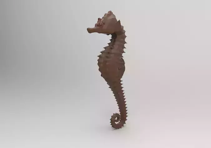 Seahorse chocolate 3D print model
